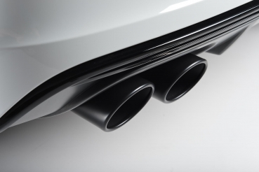 Turbo-back incl. Sports Cat (Race) Non-Valved Non Resonated Black Oval Tips