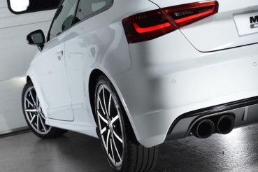 Preview: Cat Back Non-resonated (louder) Polished Tips